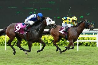 Mr Hanks triumphs in the Listed Juvenile Championship at Kranji. Photo: Singapore Turf Club